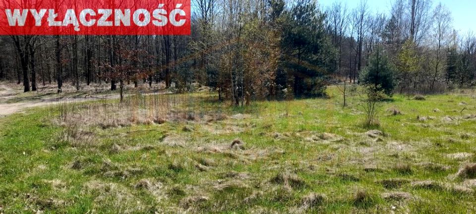 Działka rolna Borkowo