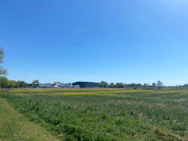 Działka inwestycyjna Szymanów sprzedam