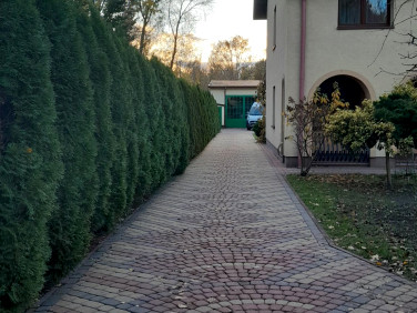 Pokój Złotokłos