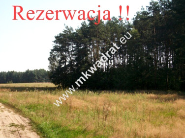 Działka rolna Budy Mszczonowskie