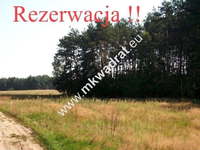 Działka rolna Budy Mszczonowskie