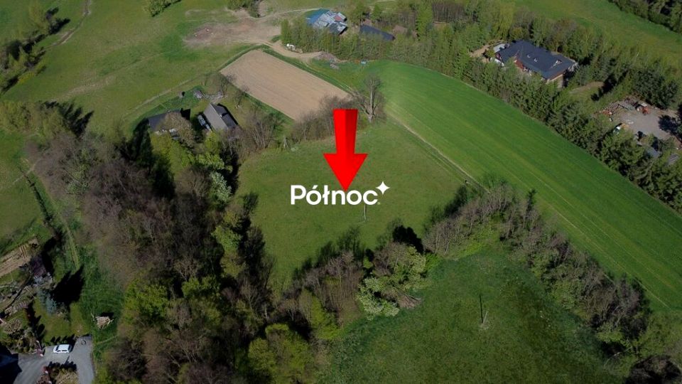 Zdjęcie 2