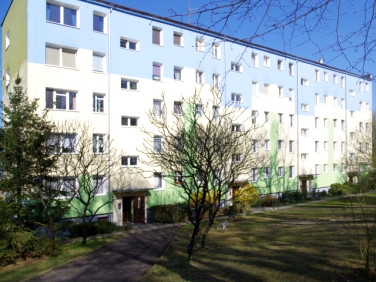 Mieszkanie Torzym