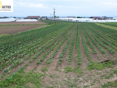 Działka budowlana Tropiszów