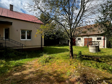 Dom Grzybów