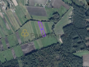 Działka rolna Srocko Małe sprzedam