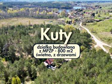 Działka przy lesie