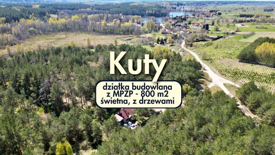 Działka przy lesie