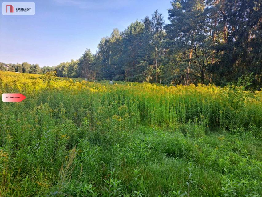 Działka Miękinia