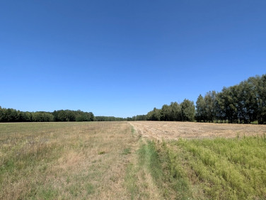 Działka rolna Grabostów