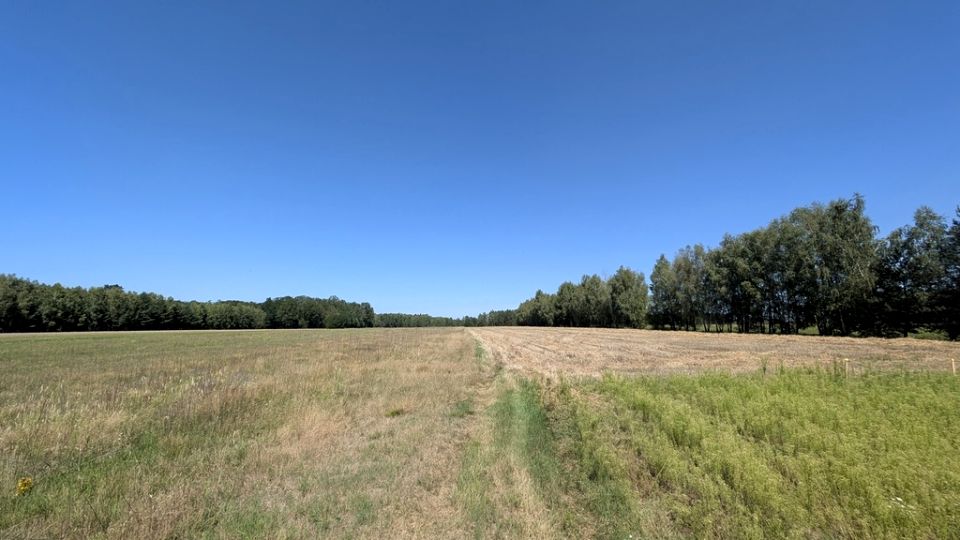 Działka rolna Grabostów