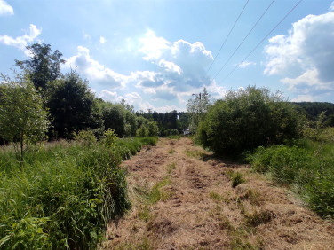 Działka budowlana Chęciny