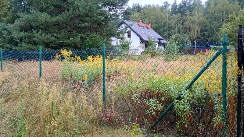 Działka budowlana Rosanów sprzedam