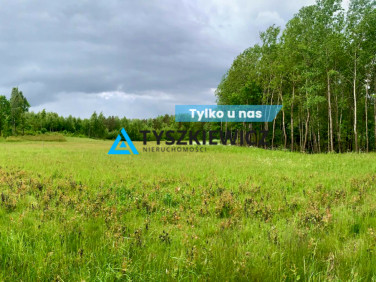 Działka inna Borzestowo