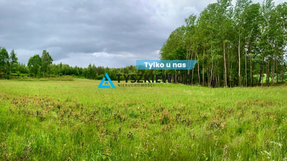 Działka inna Borzestowo