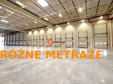 Budynek użytkowy Kraków wynajem