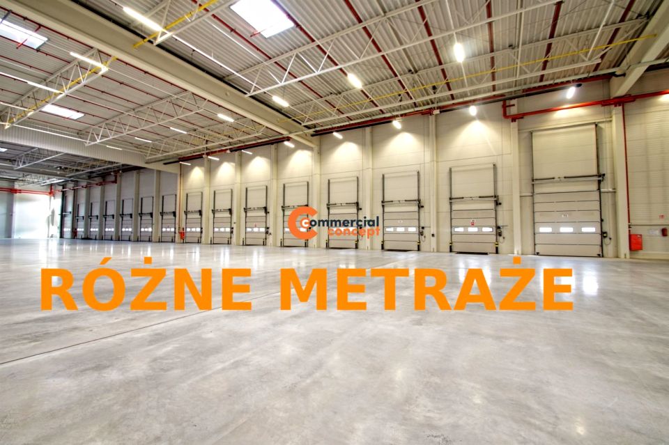Budynek użytkowy Kraków wynajem