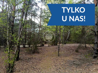 Działka rekreacyjna Dzbądz
