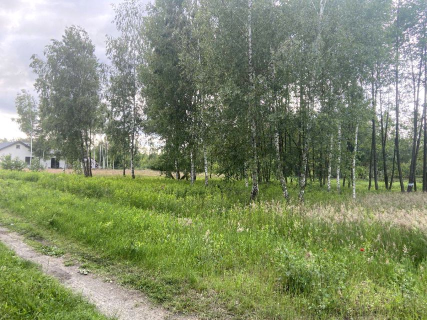 Zdjęcie 3