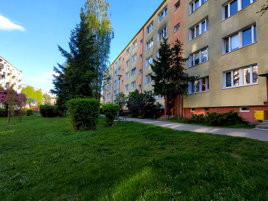 Mieszkanie Kalisz