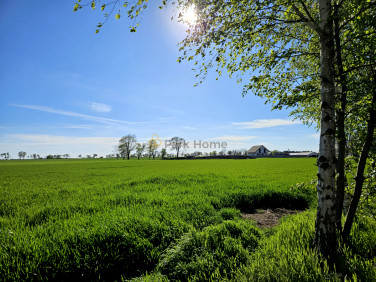 Działka Kokorzyn