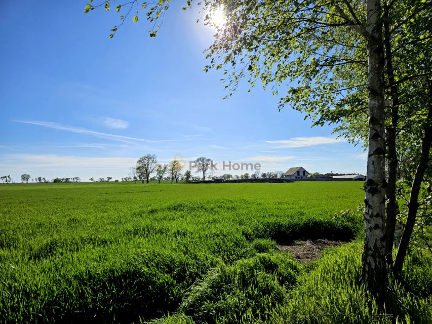 Działka Kokorzyn