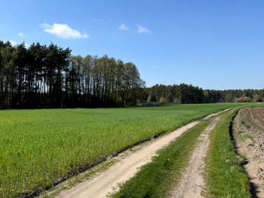 Działka budowlana Lubonieczek