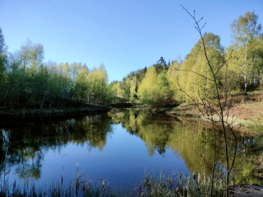 Działka nad jeziorem