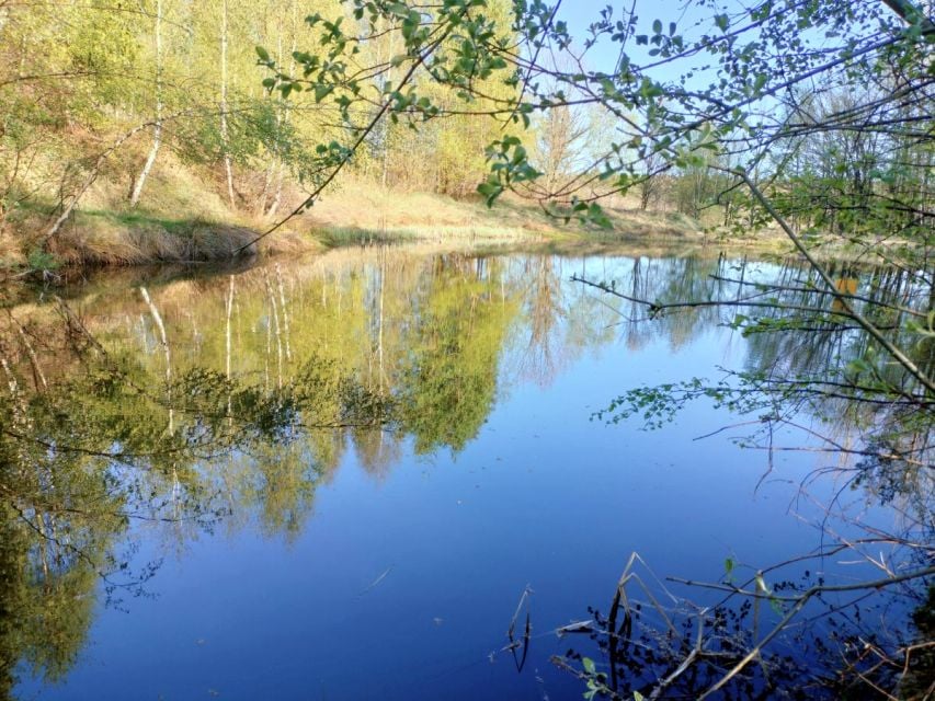 Działka Przywidz