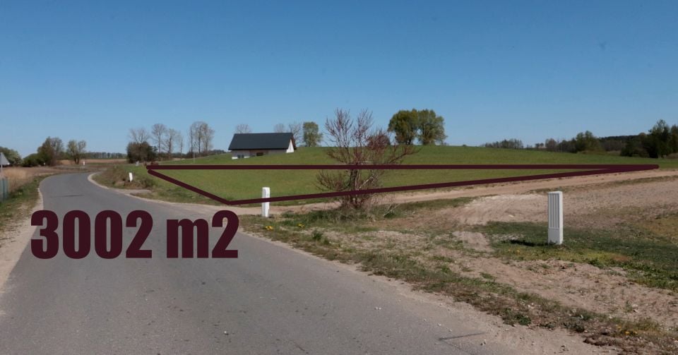 Zdjęcie 3