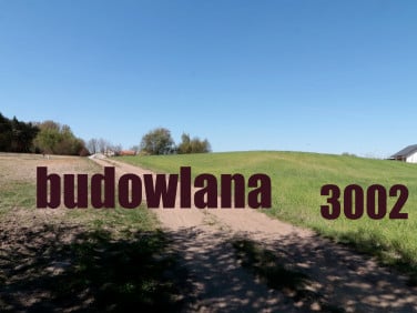 Działka Oćwieka