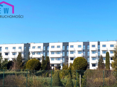 Mieszkanie Toruń