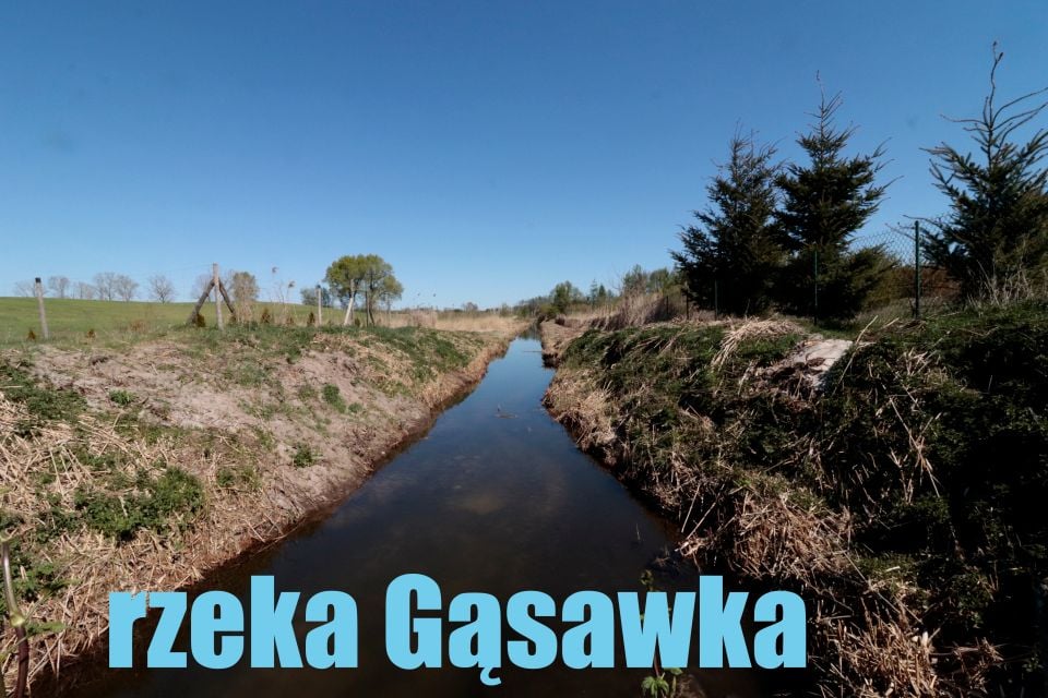 Działka Oćwieka