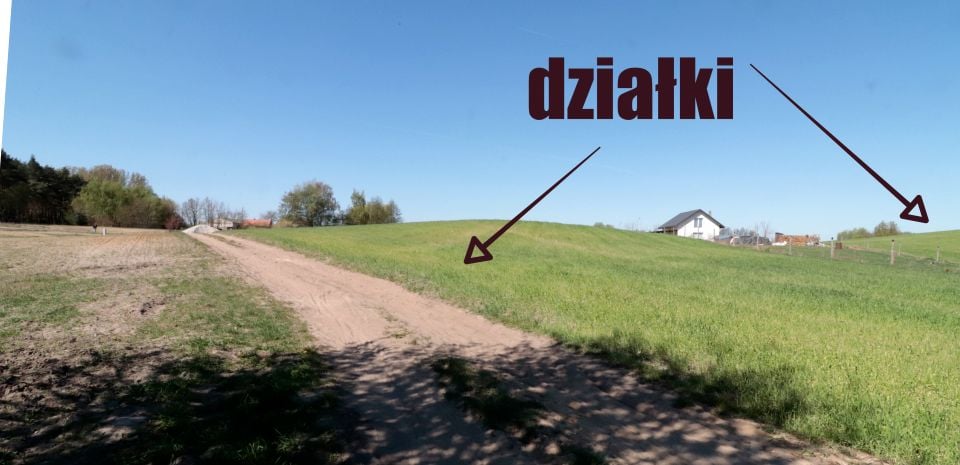 Zdjęcie 3