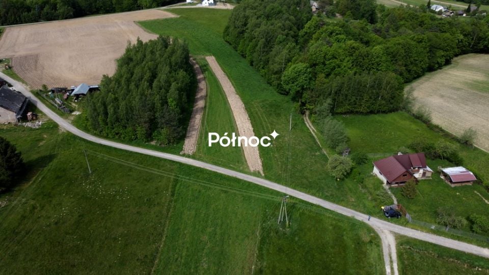 Zdjęcie 3