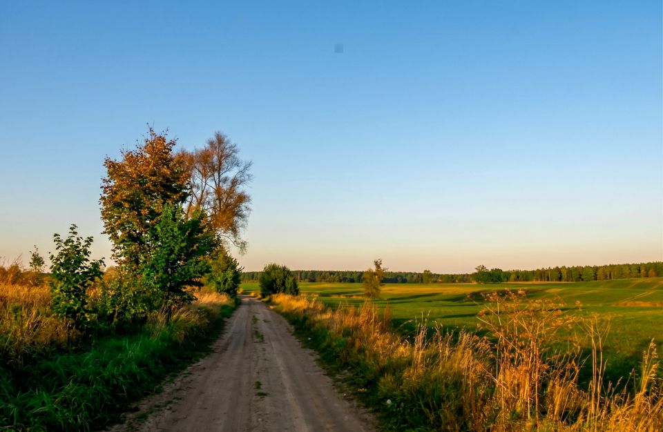 Działka budowlano-rolna Koronowo