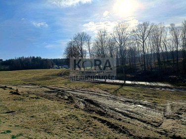 Działka Lubochnia