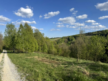 Działka budowlana Kamieńczyk