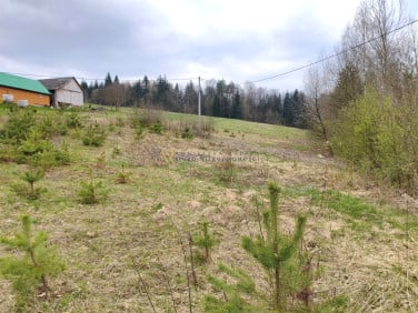 Działka Zakliczyn (gw)