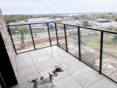 Mieszkanie Poznań sprzedaż