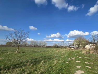 Działka budowlana Mszczonów