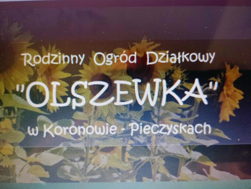Działka rekreacyjna Koronowo