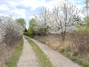 Działka budowlana sprzedam
