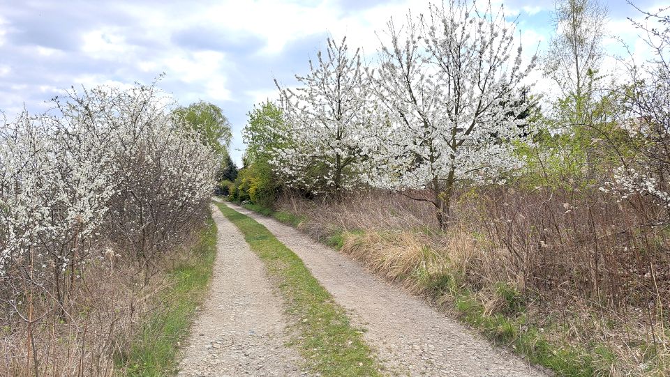 Działka budowlana sprzedam
