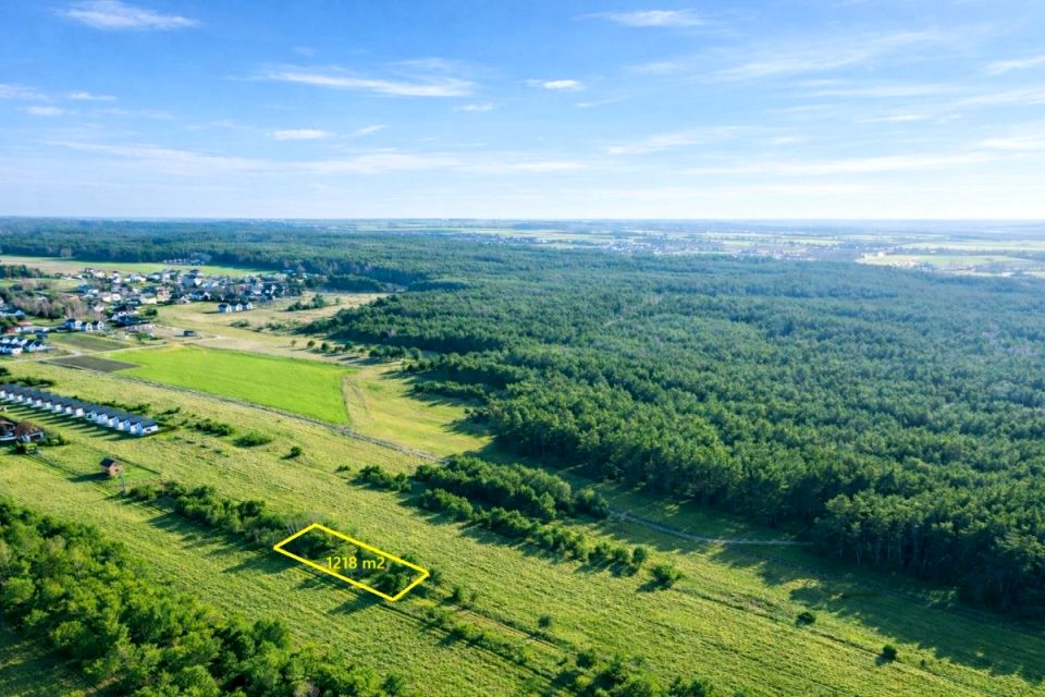 Zdjęcie 3