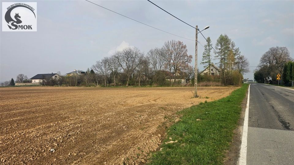 Zdjęcie 3