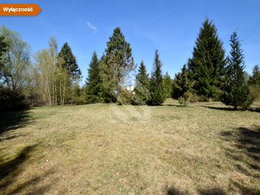 Działka budowlana Nowy Dwór