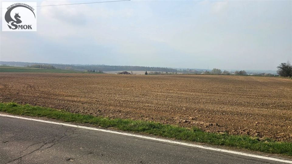 Zdjęcie 2