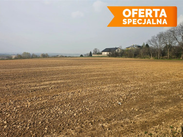 Działka budowlana Celiny