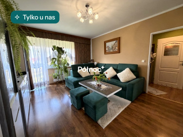 Mieszkanie Gryfów Śląski